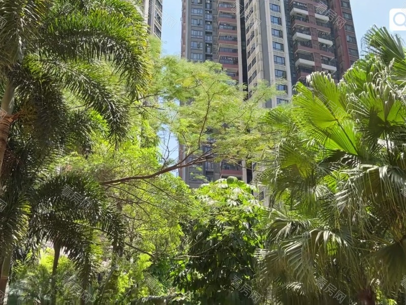 深圳中熙香缤山小区信息图片34