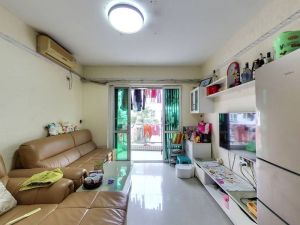 惠雅苑(禅城) 2室1厅 60㎡ 简装佛山禅城区魁奇二手房图片