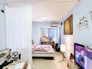 东方都会大厦 罗湖30平1房，精装修总价180万_深圳罗湖区新秀二手房图片