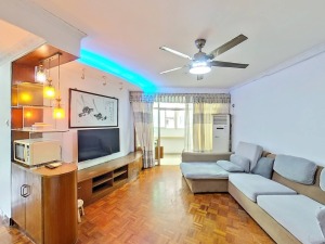 西湖花园 精装两房拎包入住深圳罗湖区地王租房图片