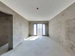 远洋翡丽郡二期 3室2厅 89.3㎡ 毛坯_中山南头镇南头镇二手房图片