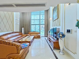 熙龙湾一期 宝安中心255平5房2厅南北通深圳宝安区宝安中心二手房图片