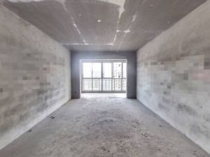 財富嘉苑 3室2厅 147㎡ 毛坯衡阳蒸湘区华新二手房图片