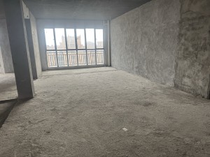丽景君临天下 4室2厅 158.18㎡ 毛坯郴州苏仙区爱莲湖二手房图片