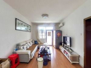 辐照中心宿舍 罗湖3房2厅精装南向美宅深圳罗湖区布心二手房图片