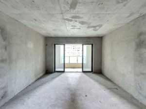 保利中央公馆 4室2厅 155.59㎡ 毛坯佛山南海区大沥二手房图片