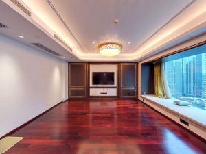 中心天元 196平东南朝向精装3房2厅深圳福田区福田中心二手房图片