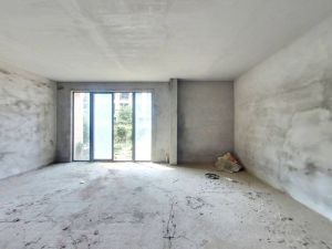 卓越东部蔚蓝海岸别墅 4室3厅 338.85㎡ 精装_惠州大亚湾西区新寮二手房图片