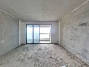 星美新外滩 4室2厅 164.98㎡ 毛坯 星美新外滩 4室2厅 164.98㎡ 毛坯衡阳蒸湘区区政府北二手房图片