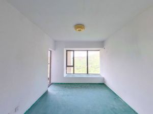 依云伴山 1室1厅 55.4㎡ 毛坯 依云伴山 1室1厅 55.4㎡ 毛坯深圳南山区前海二手房图片