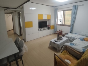 海王大厦 南山中心3房2厅，精装修拎包入住深圳南山区南山中心二手房图片