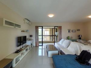 鸿泰海半山 3室2厅 95.6㎡ 精装珠海金湾区白藤头二手房图片