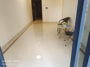 佳兆业西山吓庭苑 2室2厅 64㎡ 精装_深圳盐田区盐田港二手房图片