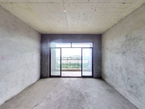 创发城1938 3室2厅 119.47㎡ 毛坯衡阳蒸湘区万达广场二手房图片