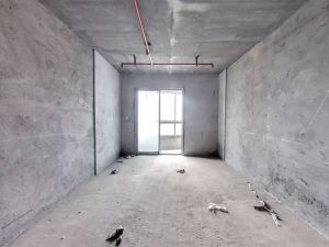 小埠拇指时代 1室1厅 46.58㎡ 毛坯 小埠拇指时代 1室1厅 46.58㎡ 毛坯郴州北湖区五岭二手房图片