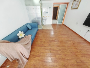白金酒店公寓 海雅缤纷城上，华润万家旁，高档花园小区_深圳宝安区新安租房图片