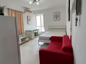 彩天名苑 1室0厅 33㎡ 满五唯一深圳福田区福田中心二手房图片