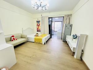 风格名苑 精装一居室 南北通透可拎包入住深圳罗湖区地王租房图片