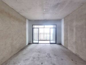 创发城1938 3室2厅 118㎡ 毛坯衡阳蒸湘区万达广场二手房图片