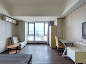 万达广场(南海) 1室1厅 41.35㎡ 精装佛山南海区千灯湖二手房图片