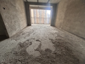云鼎天阙 3室2厅 119.69㎡ 毛坯郴州北湖区骆仙二手房图片